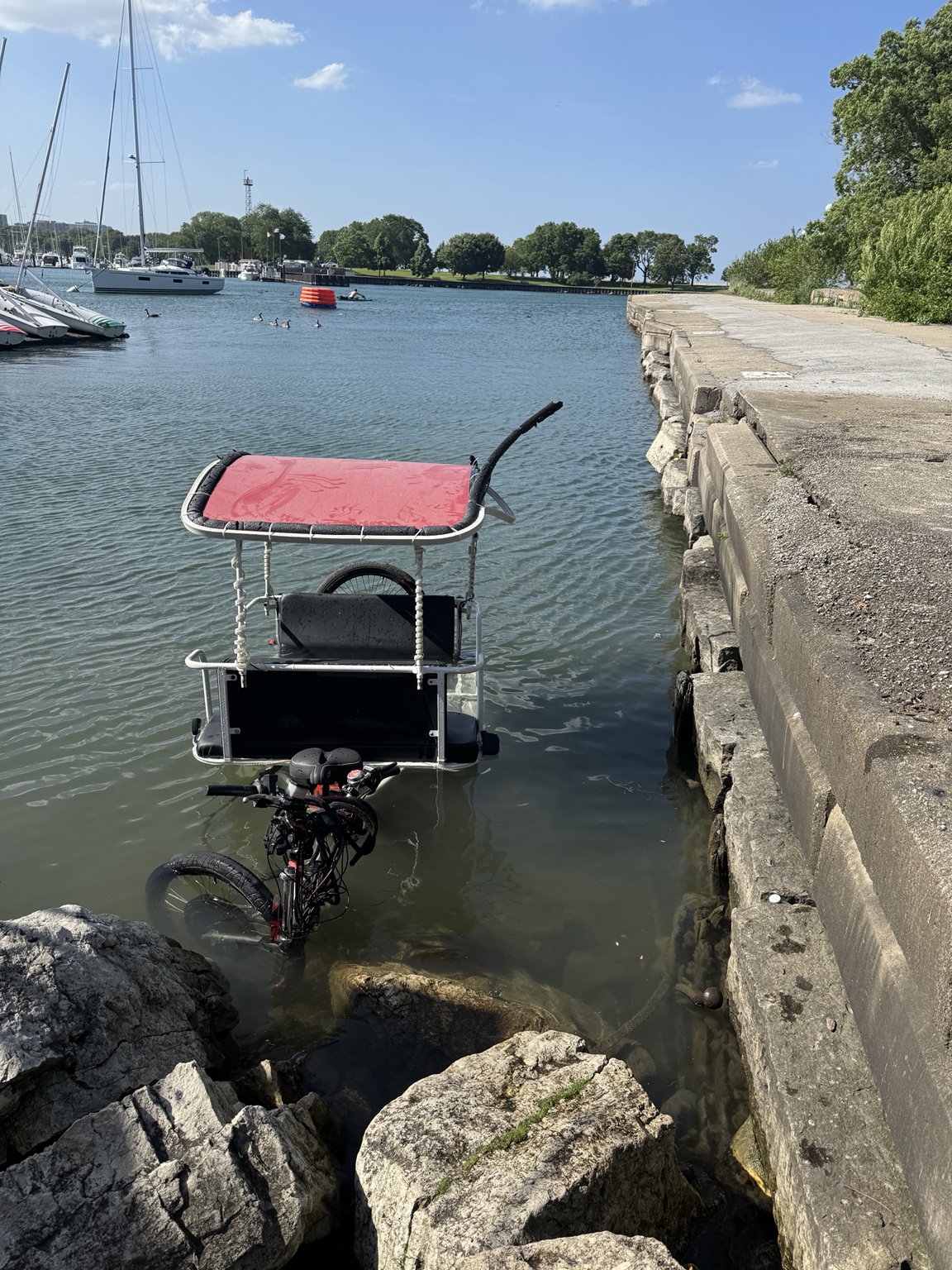 Pedicab partially submerged in Diversey Harbor before recovery in Chicago